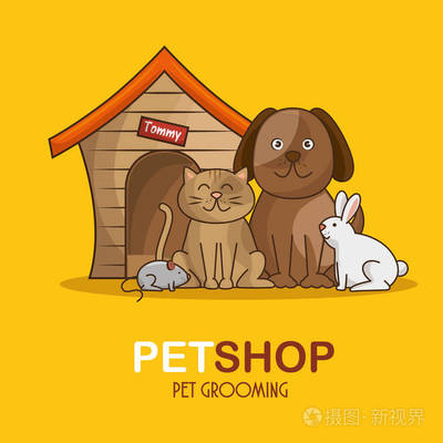 組動物寵物店 一站式專業寵物服務的溫馨港灣