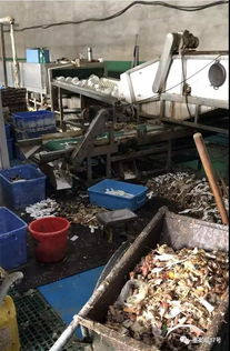 消毒餐具廠調(diào)查 車(chē)間堆積食物殘?jiān)?工人臟手套擦杯盤(pán)